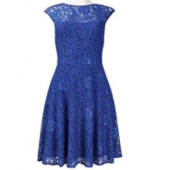 Muse Shift Dress Illusion Floral Cotton Lace Dress - Picture 3 of 5